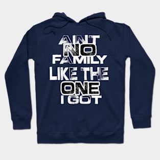 Aint No Family Like the One I Got Hoodie